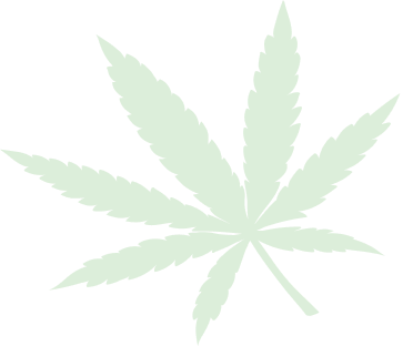 Home Medical Cannabis 32