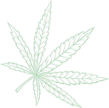 Home Medical Cannabis 31