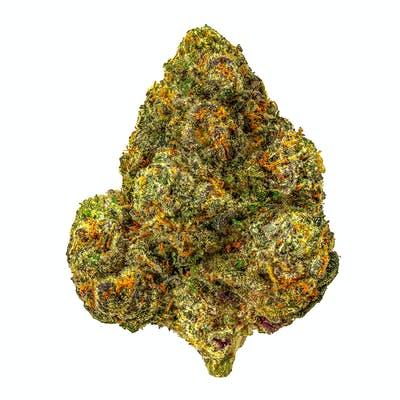 Biscotti Cannabis Strain